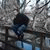 member aref_kremd