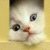 aricia profile picture
