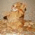 member artur_roma