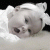 arzu_87 profile picture