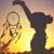 asma_guefa profile picture