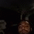 athar_ali profile picture