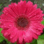 auvi profile picture