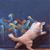 aya_ashraf profile picture