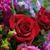 member ayad_al_sh