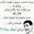 member ayash_ayas