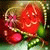 member ayman_alsh2
