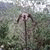 member ayoub_ezza