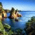 azeddine_t profile picture