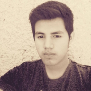 BRANPERG