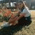 basak_demi profile picture