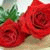 member basel_alna