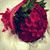 member bayan_alam