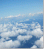 bdvcpf profile picture