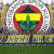 bebelusa profile picture