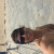 benjaminnecker profile picture
