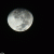 bepo profile picture