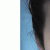member betsyvicencio
