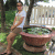 blacktiger_1402 profile picture
