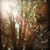burak_ozbe profile picture