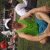 member CARLOS91