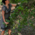 CELINE_26 profile picture