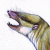 Chronoperates profile picture