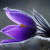 Clea0207 profile picture