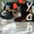 member cautut_gen