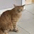 claudi_enz profile picture