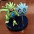 con_meo profile picture