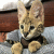 corina_123 profile picture