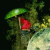 cvh profile picture