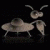 DIVIGL1 profile picture