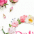 member dalia009