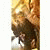 member damian_mar