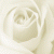 dara23 profile picture