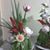 member davi_s_flo