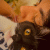 dbeyzagangall profile picture