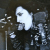 ddecomposer profile picture
