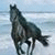 der_erste_ profile picture