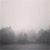 member diana_rami