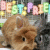member dilara629274