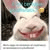 member donatas_do