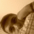 dr_gokhan profile picture