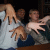 draco_eol profile picture