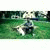 member dragan_mil