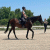 member dre_dressage