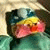 member du_ck