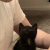Echemus profile picture